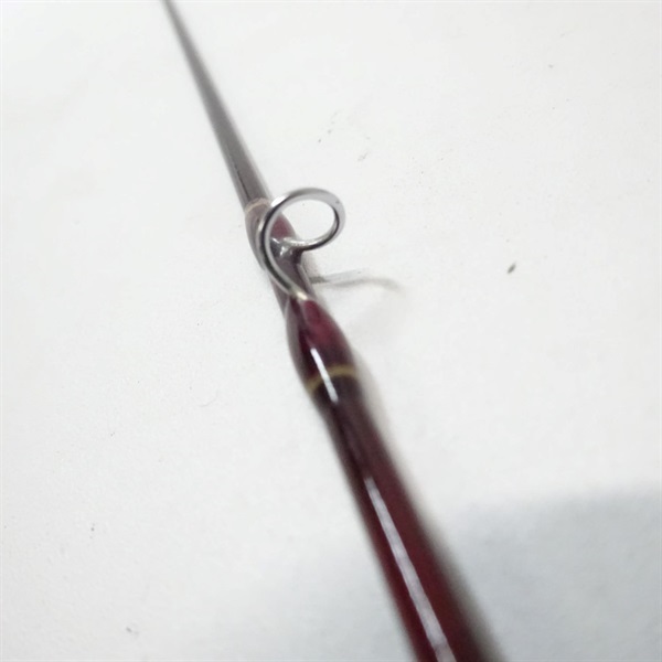 スーパーパルサーＺ３０ＴＣＦＺ－８０４０Ｔ